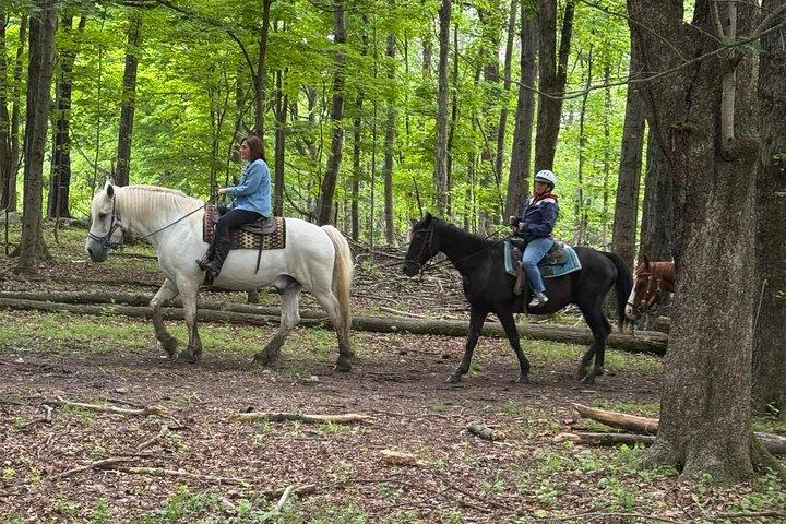45 Minute Scenic Horseback Trail Ride