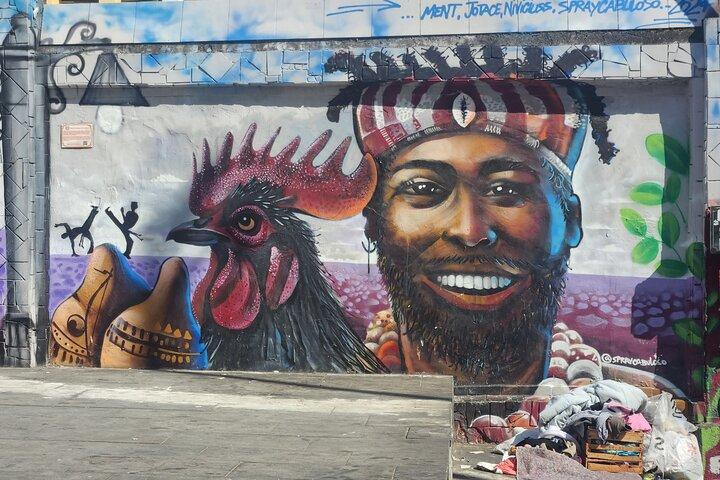 Lapa and Santa Teresa Street Art Experience