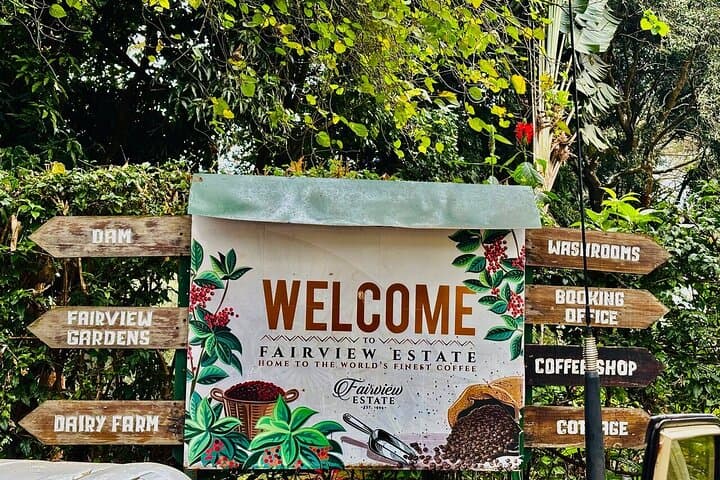 Coffee Tour [Fairview Farm] With Coffee Tasting