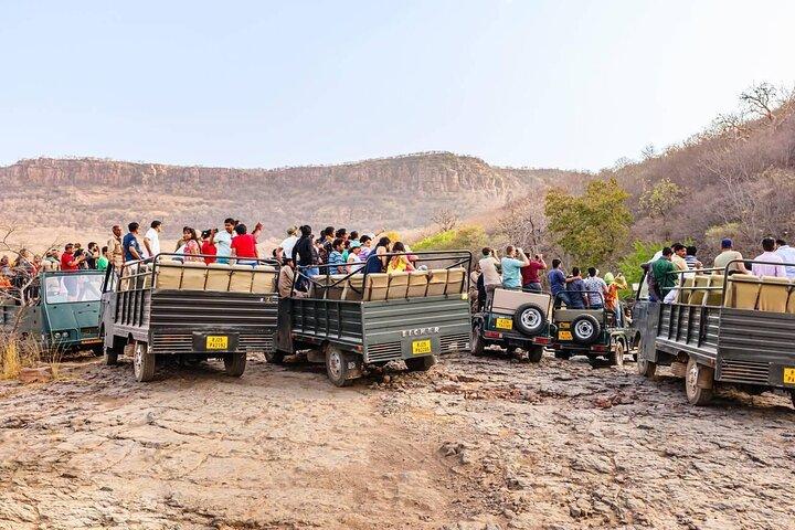Day Trip from Jaipur to Ranthambore with Tiger Safari