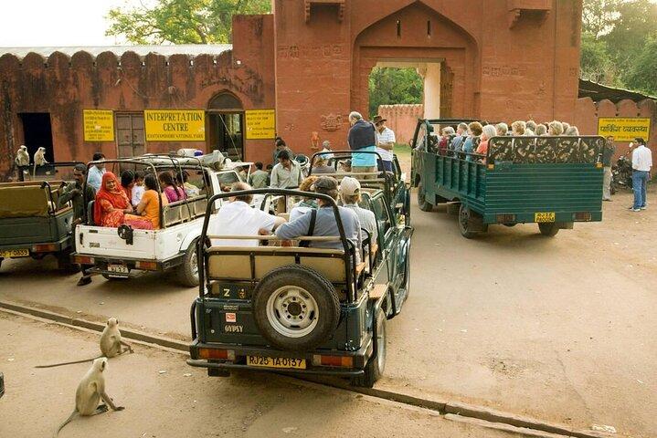 Day Trip from Jaipur to Ranthambore with Tiger Safari