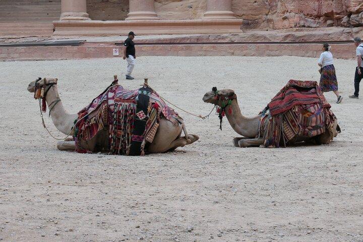 Petra Day Trip From Amman