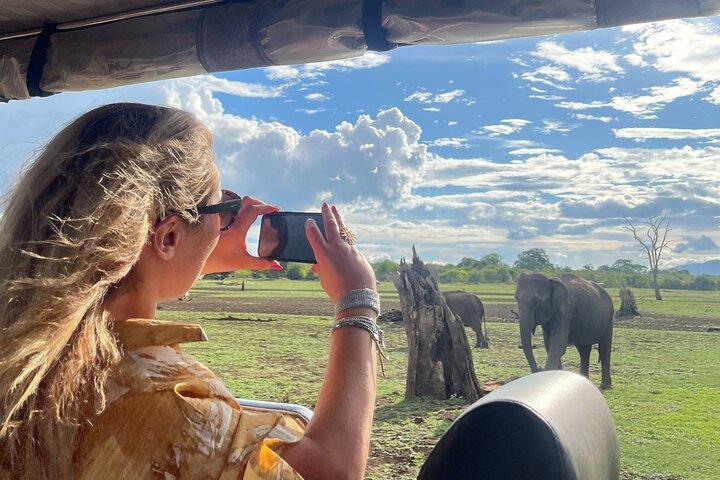 Udawalawe National Park- 4 Hour Private Safari Tour