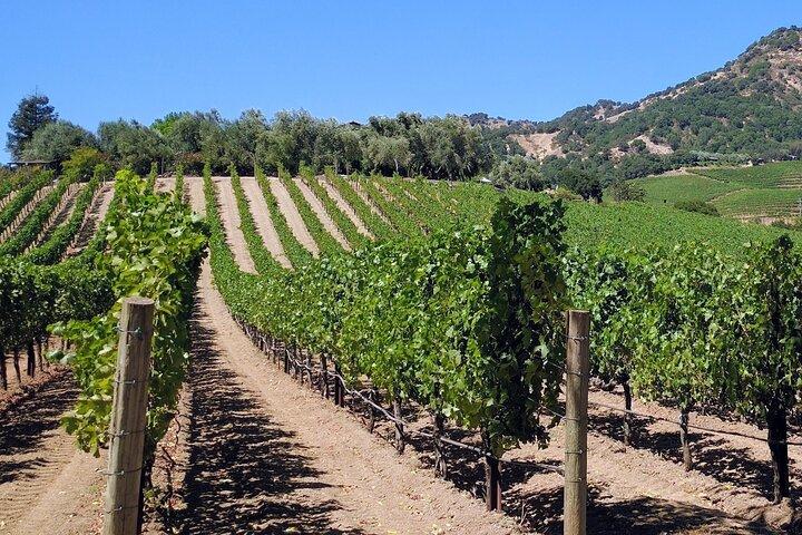 Napa and Sonoma Valley Wine 6 hour Tour from San Francisco