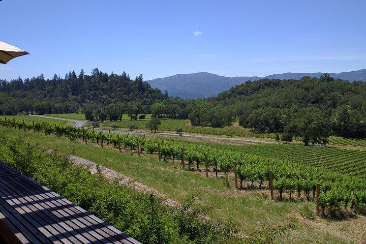 Napa and Sonoma Valley Wine 6 hour Tour from San Francisco