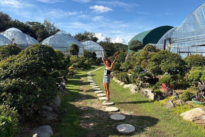 Korean Bonsai Experience in a Tranquil Seoul Garden