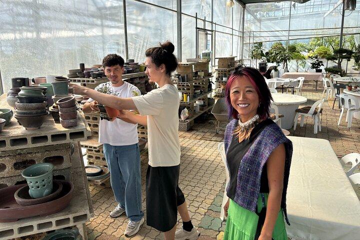 Korean Bonsai Experience in a Tranquil Seoul Garden