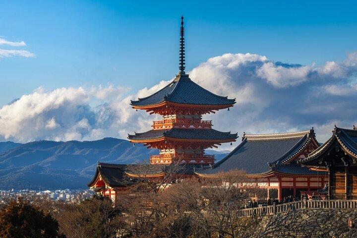 Kyoto and Nara Day Tour Fushimi Inari Kiyomizu dera Nara Park