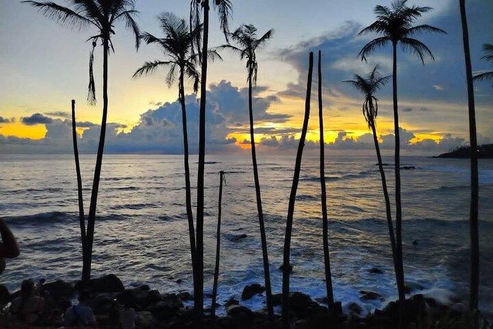 Colombo to Galle Coastal Private Day Tour