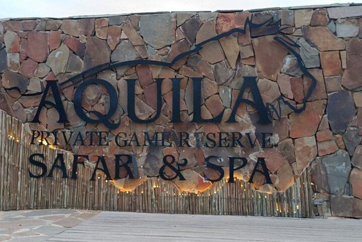 Aquila Big Five Safari and Wine Tasting Full Day Private Tour