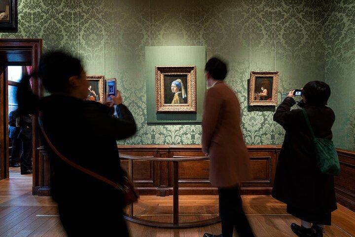 Mauritshuis Museum The Hague - Private Guided Tour with Entry