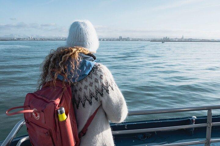 Whale-Watching Boat Tour with Expert Guide from Reykjavik