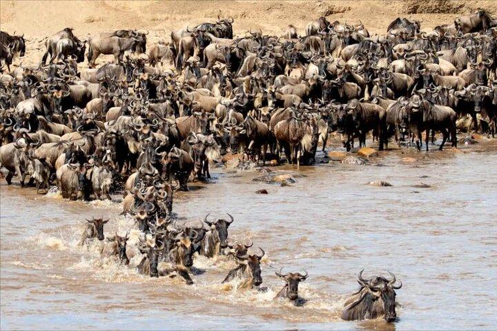 5 Multi‑Day Flyin Safari To Tanzania Major Parks With Cultural