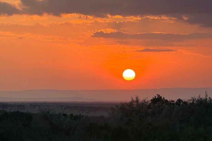 Three Days Maasai Mara Private Budget Safari