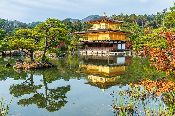 Best of Kyoto Half Day Small Group Tour from Osaka
