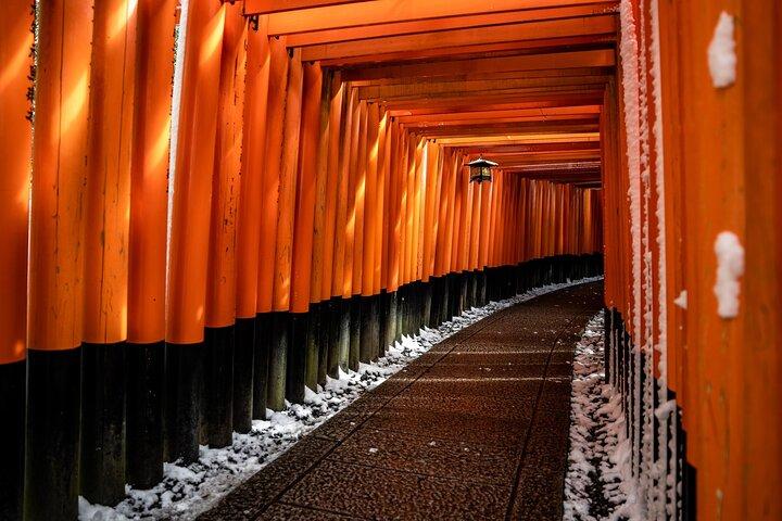 Best of Kyoto Half Day Small Group Tour from Osaka
