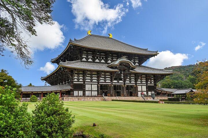 Nara Half Day Small Group Tour from Kyoto