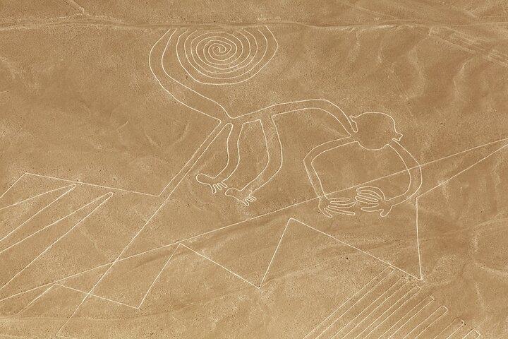 Nazca Lines Flight from Ica with Round Trip Transportation