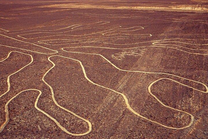 Nazca Lines Flight from Ica with Round Trip Transportation