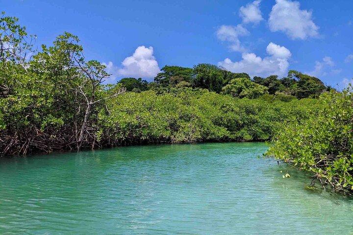 Isla Grande Panama Island Hopping and Portobelo Fort Tour