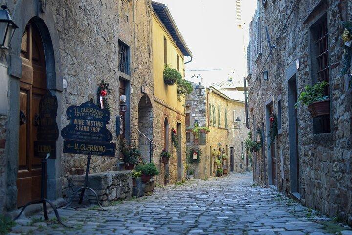 Private Chianti Wine Day Experience from Florence with Chauffeur