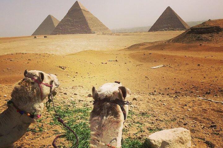 Giza pyramids tour , sphinx and The grand Egyptian museum (GEM)