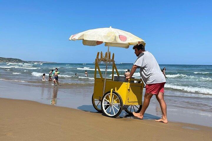 Solar Beach Swimming Day Tour from Istanbul