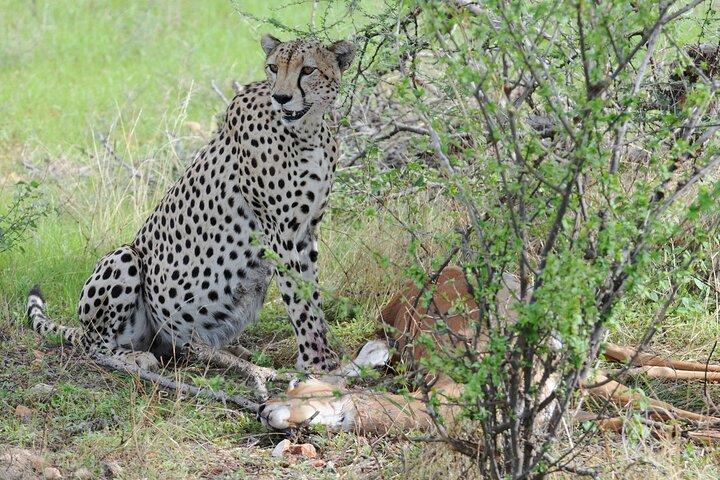 Nairobi Private 9-Day Tour Experience