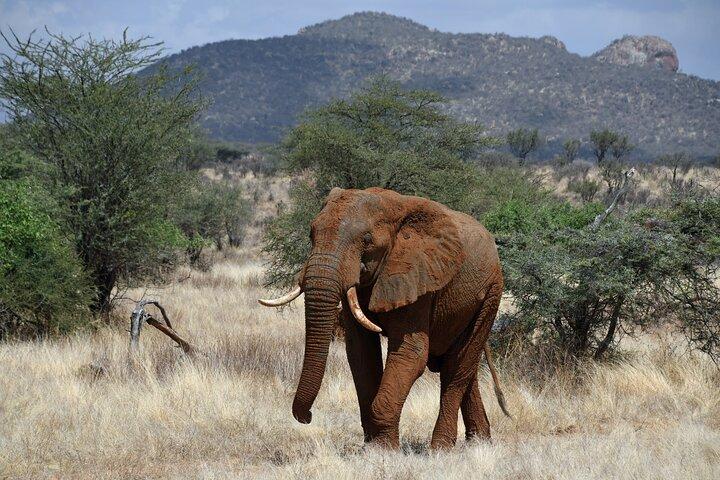 Nairobi Private 9-Day Tour Experience