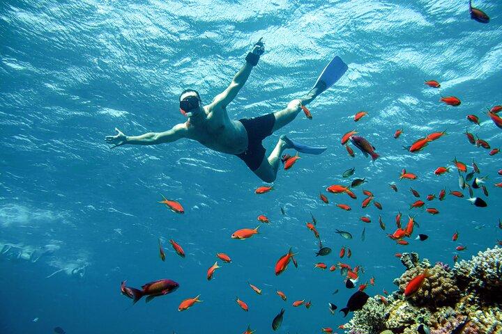 Sharm El Sheikh: White Island & Ras Mohammed Cruise with Lunch
