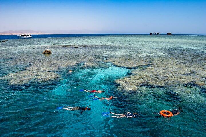 Sharm El Sheikh: White Island & Ras Mohammed Cruise with Lunch