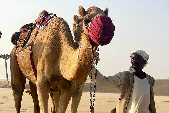 Qatar Sunrise Desert Safari Dune Bashing & Inland Sea