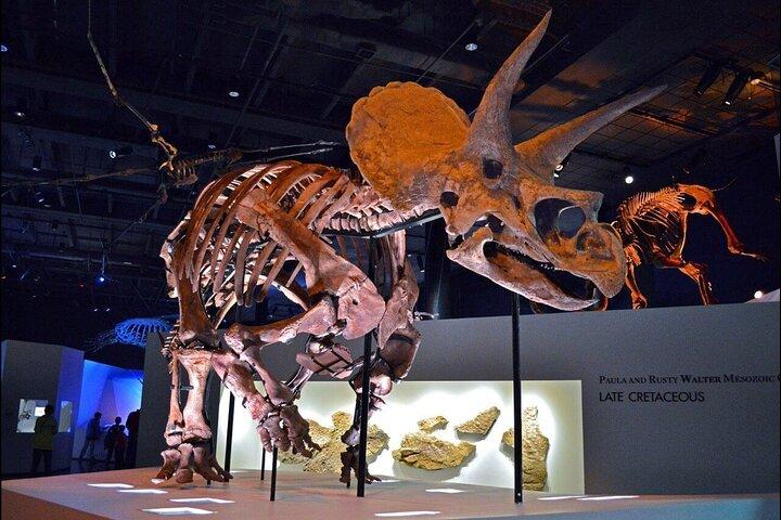 Houston Museum Natural Science Pass Discovery