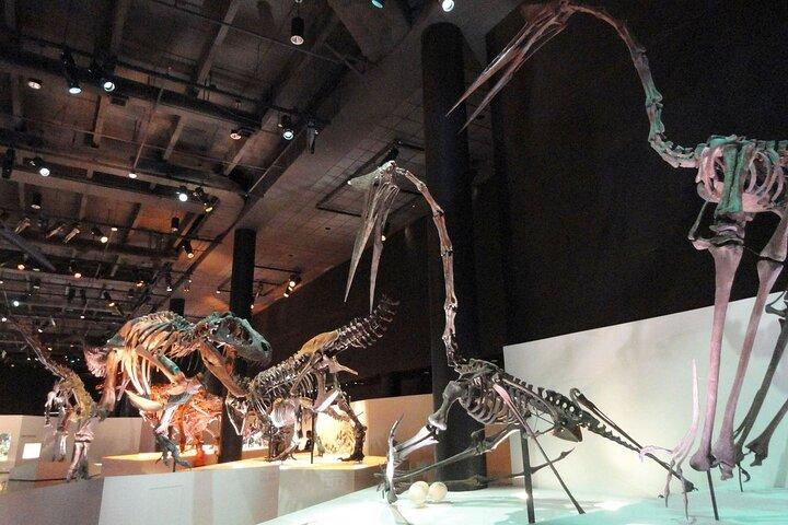 Houston Museum Natural Science Pass Discovery
