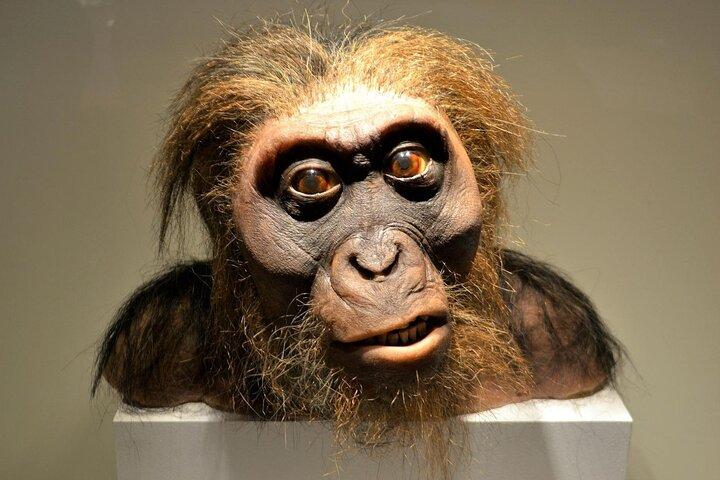 Houston Museum Natural Science Pass Discovery