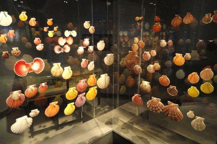 Houston Museum Natural Science Pass Discovery