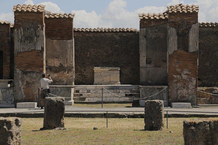 Private Guided Tour of Pompeii with Priority Access
