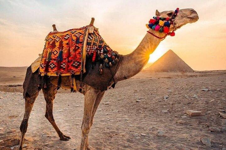 Camel Ride Tour Around the Pyramids of Giza