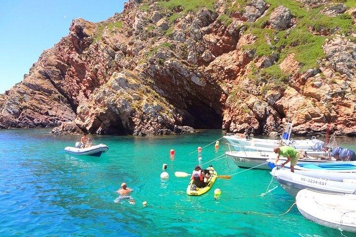 Berlengas Islands Day Trip from Lisbon: Boat Caves & Nature