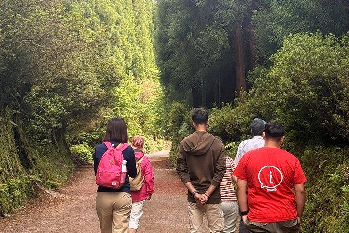 São Miguel Highlights Sete Cidades and Lagoa do Fogo Tour
