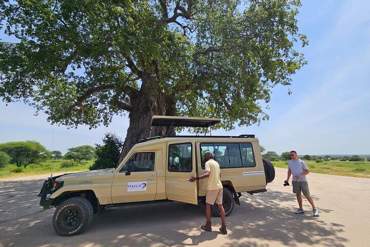 6-Days Walking, Biking, Serengeti, Crater, Materuni & Chemka