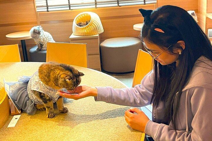 Tokyo Shinjuku Giant 3D, Cat Cafe & Yanaka Cat Town for Cat Lover