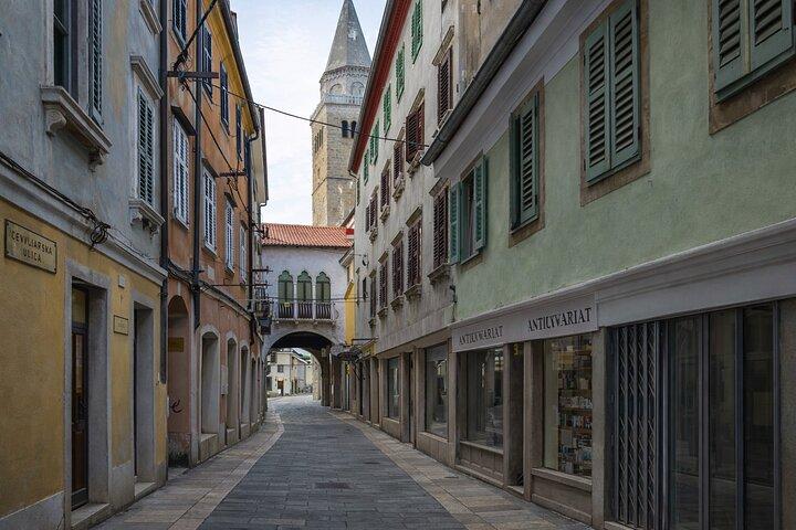 2 Hours Shared Taste Tour in Koper.