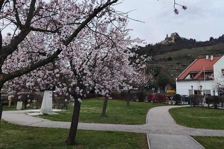 3 Castles & Wine Private Tour in Wachau Valley with Melk Church