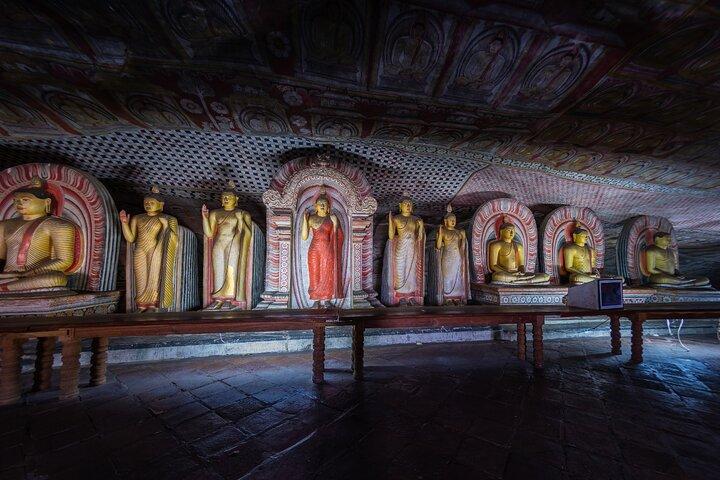 Sigiriya city tour from Negombo & Colombo with traditional Lunch.