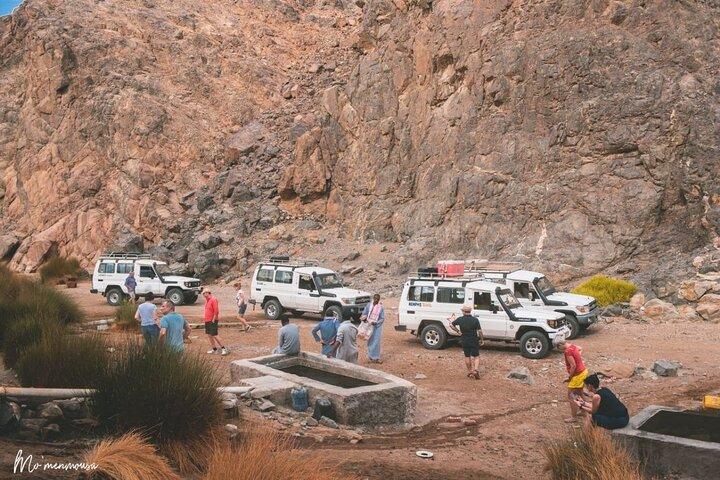 Desert Star Gazing Tour with Camel Ride and Dinner in Marsa Alam