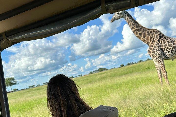 1 Day Fly In Safari to Mikumi National Park from Zanzibar