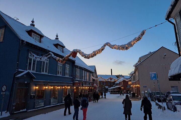The original Tromsø city walk with Polar Museum