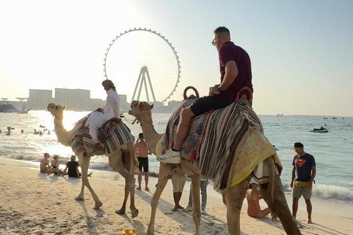 Camel Ride Along JBR Beach with Views of Dubai