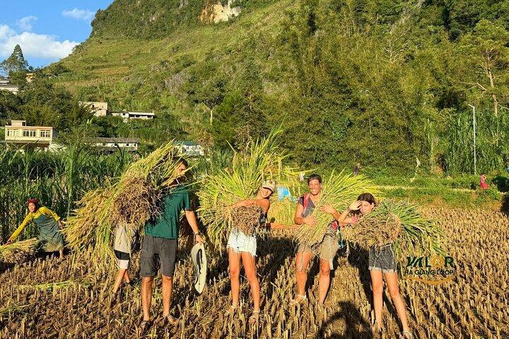 Ha Giang Loop: 3-Day Small Group from Hanoi (All Inclusive)